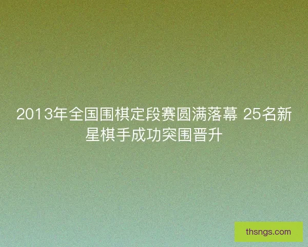 2013年全国围棋定段赛圆满落幕 25名新星棋手成功突围晋升