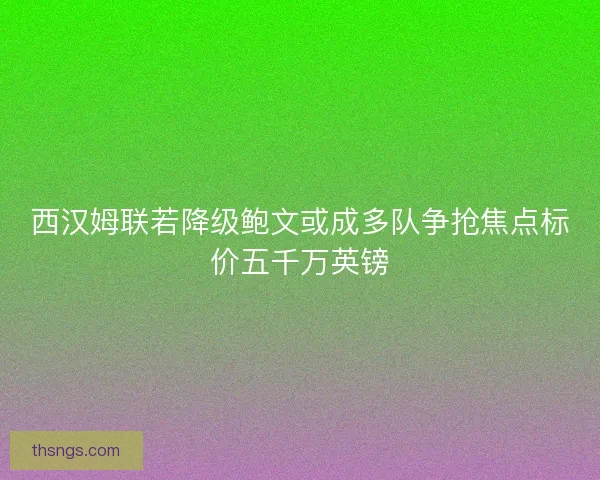 西汉姆联若降级鲍文或成多队争抢焦点标价五千万英镑